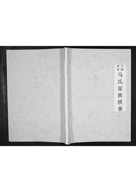 河南马氏族谱-开濮曹徐马氏家族轶事[不分卷].pdf电子版缩略图