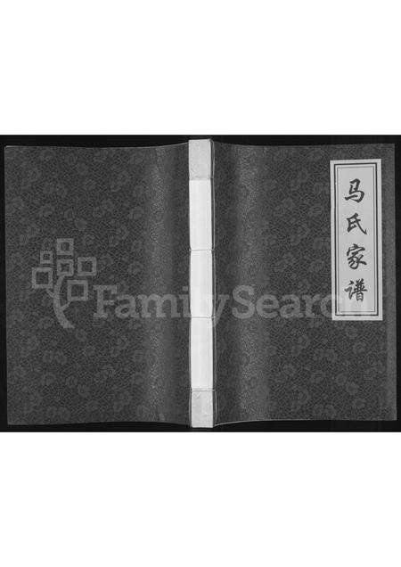 河南马氏族谱-马氏家谱.pdf电子版缩略图