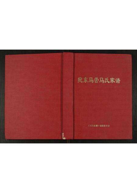 河南马氏族谱-马氏家谱.pdf电子版缩略图