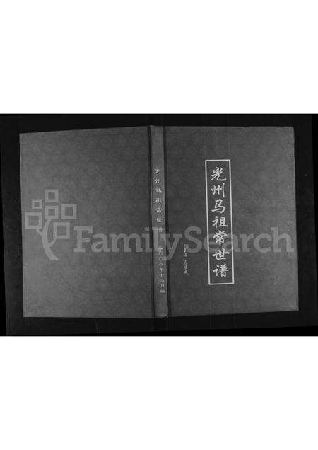 河南马氏族谱-光州马祖常世谱.pdf电子版缩略图