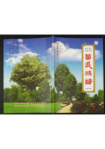 河南苗氏族谱-苗氏族谱.pdf电子版