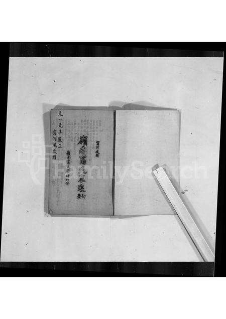 广东甯氏族谱-岭南甯氏家乘初稿.pdf电子版缩略图
