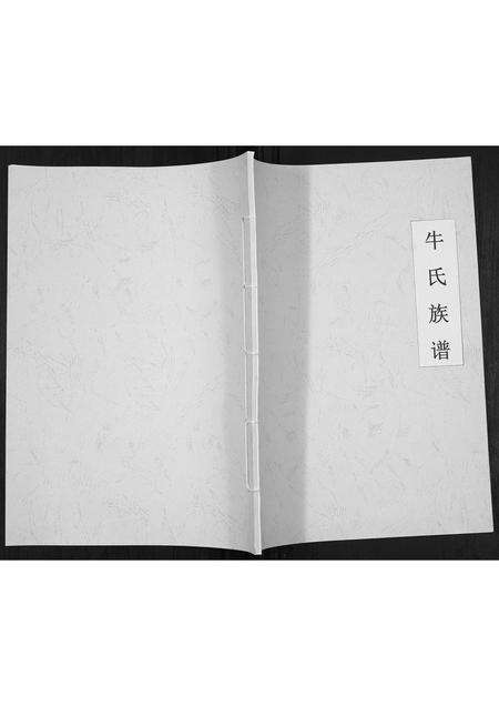 河南牛氏族谱-牛氏族谱[不分卷].pdf电子版缩略图