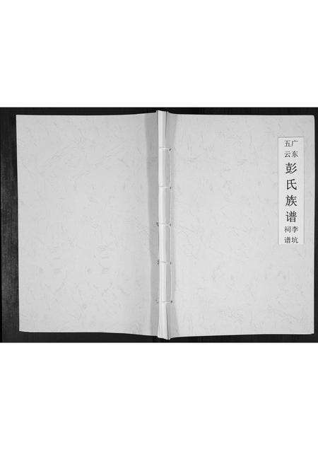 广东彭氏族谱-广东五云彭氏族谱李坑祠谱.pdf电子版缩略图