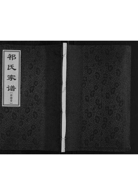 河南祁氏族谱-祁氏家谱[不分卷].pdf电子版缩略图