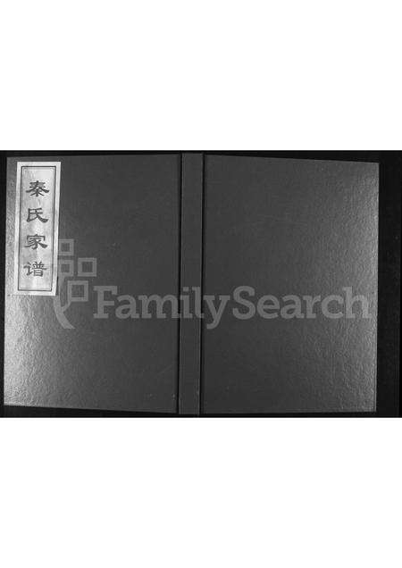 河南秦氏族谱-秦氏家谱 [不分卷].pdf电子版缩略图