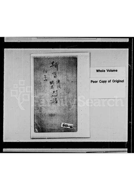 广东阮氏族谱-新宁塘头塘基村阮氏谱.pdf电子版缩略图