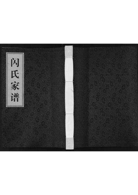 河南闪氏族谱-闪氏家谱[不分卷].pdf电子版缩略图