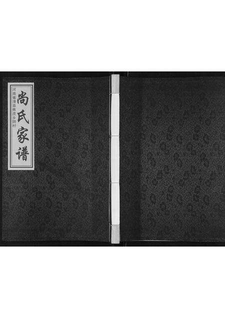 河南尚氏族谱-尚氏家谱[不分卷].pdf电子版缩略图