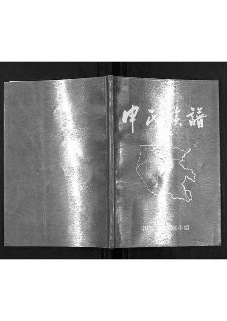 河南申氏族谱-申氏族谱.pdf电子版缩略图