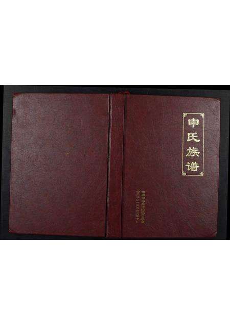 河南申氏族谱-申氏族谱.pdf电子版缩略图