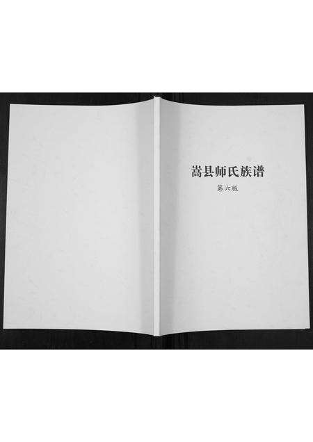 河南师氏族谱-师姓嵩县家谱[不分卷].pdf电子版缩略图
