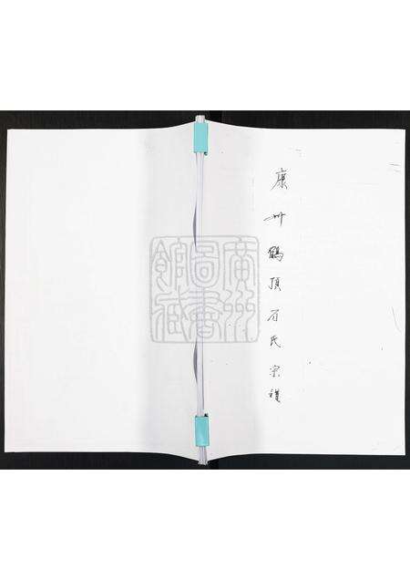 广东石氏族谱-康州鹤顶石氏宗谱.pdf电子版缩略图