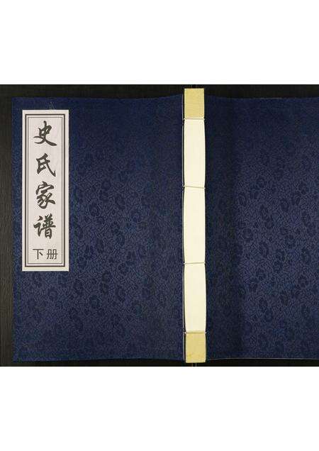 河南史氏族谱-史氏宗谱.pdf电子版缩略图