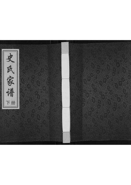 河南史氏族谱-史氏家谱[不分卷].pdf电子版缩略图