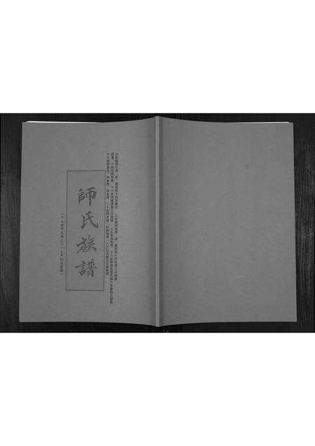 河南帅氏族谱-师氏族谱[不分卷].pdf电子版缩略图