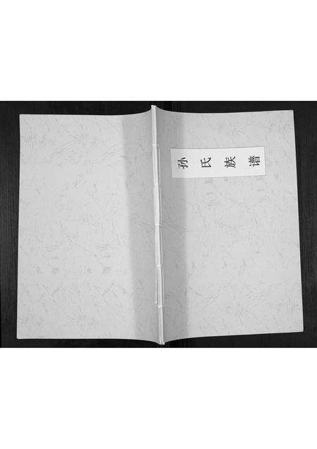 河南孙氏族谱-孙氏族谱[不分卷].pdf电子版缩略图