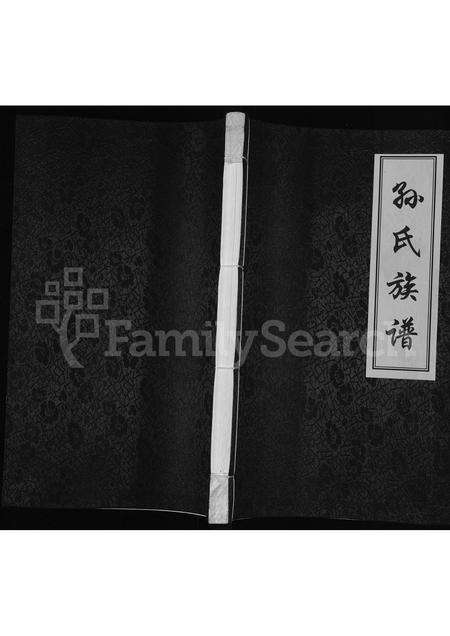 河南孙氏族谱-孙氏族谱.pdf电子版缩略图