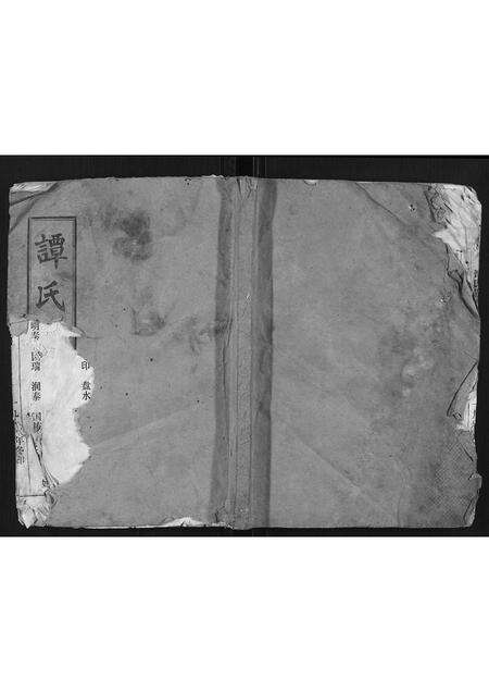 河南谭氏族谱-谭氏族谱.pdf电子版缩略图