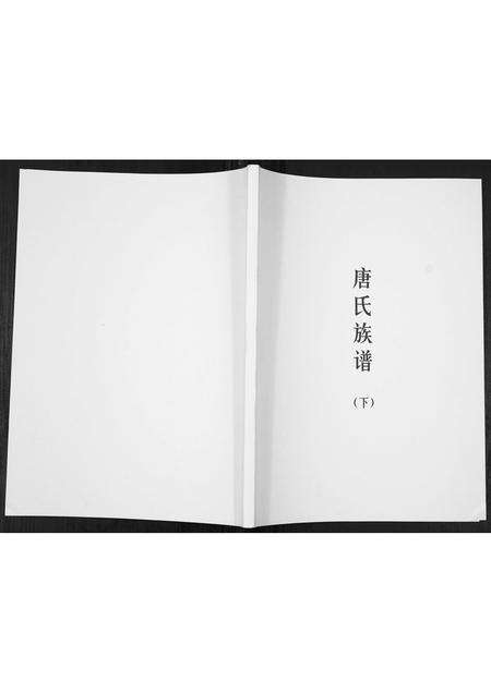 广东唐氏族谱-唐氏族谱.pdf电子版缩略图