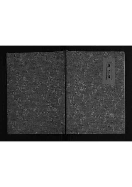 河南唐氏族谱-社旗县唐岗唐氏家谱[不分卷].pdf电子版缩略图