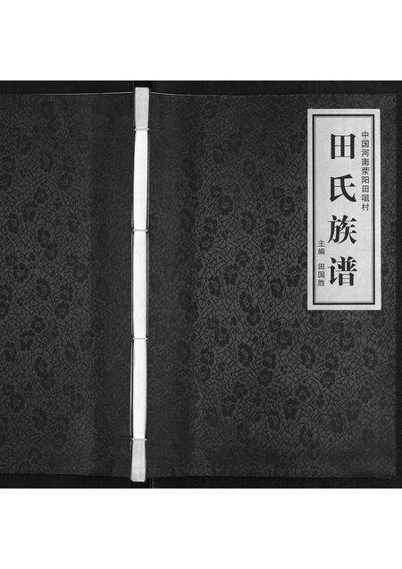 河南田氏族谱-田咀田氏族谱[不分卷].pdf电子版缩略图