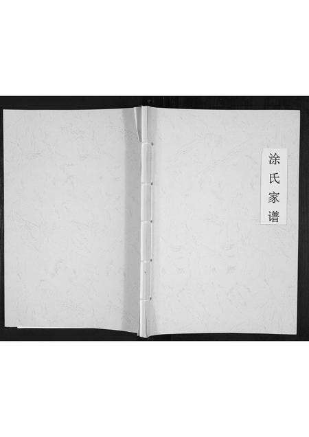 广东涂氏族谱-涂氏家谱[不分卷].pdf电子版缩略图