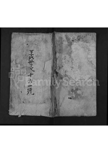 江西、安徽王氏族谱-王氏世次十六一号.pdf电子版缩略图