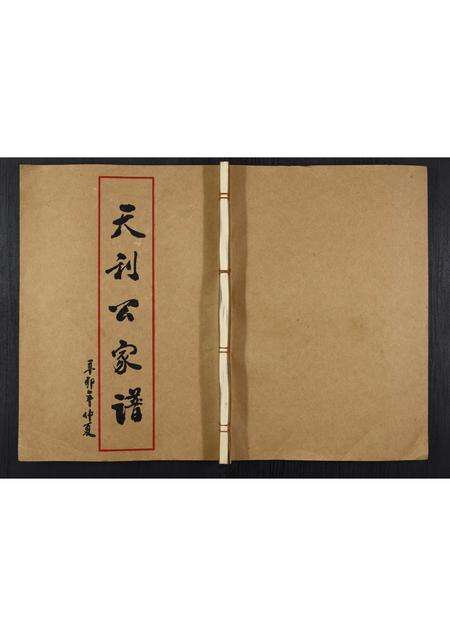 广东王氏族谱-下尾王氏族谱.pdf电子版缩略图