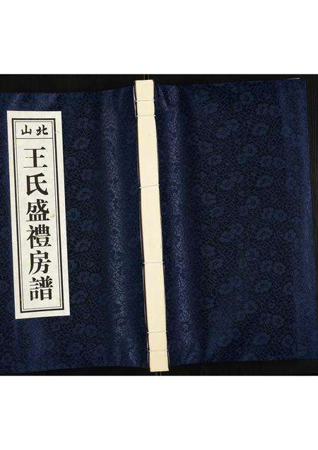 广东王氏族谱-北山王氏盛礼房谱.pdf电子版缩略图