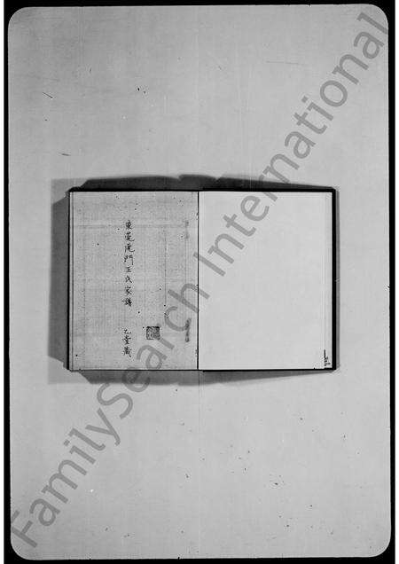 广东王氏族谱-东莞虎门王氏家谱.pdf电子版缩略图