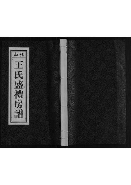 广东王氏族谱-王氏北山盛礼房谱.pdf电子版缩略图