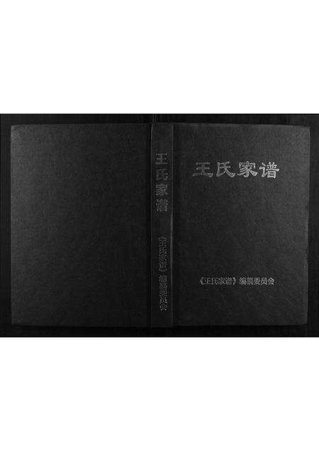 河南王氏族谱-王氏家谱.pdf电子版缩略图