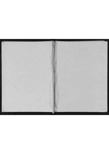 河南王氏族谱-王氏家谱[不分卷].pdf电子版缩略图