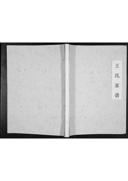 河南王氏族谱-王氏家谱[不分卷].pdf电子版缩略图