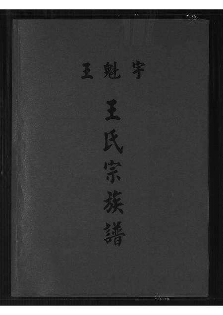 河南王氏族谱-王魁宇.王氏宗族谱.pdf电子版缩略图