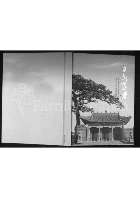 河南王氏族谱-王氏家谱 [不分卷].pdf电子版缩略图