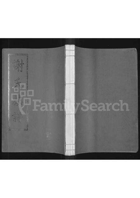 广东谢氏族谱-谢氏族谱.pdf电子版缩略图