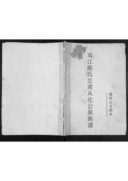 福建陈氏族谱-双江陈氏忠肃从化公派族谱.盛明公支副本.pdf电子版缩略图