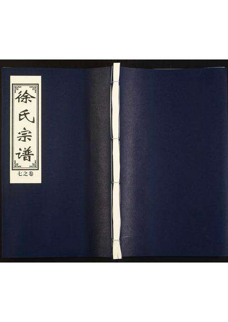 河南徐氏族谱-徐氏宗谱.pdf电子版缩略图