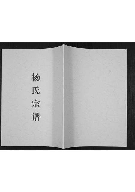 河南杨氏族谱-杨氏宗谱[不分卷].pdf电子版缩略图