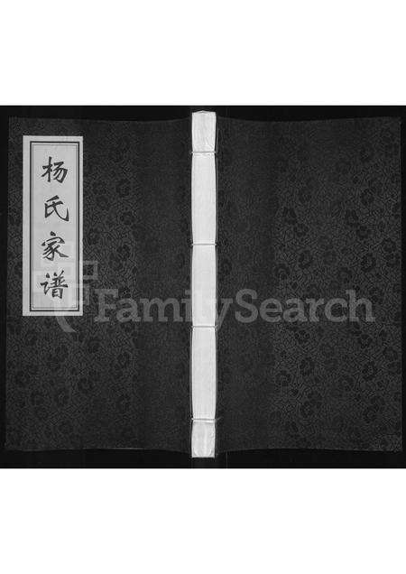 河南杨氏族谱-杨氏家谱.pdf电子版缩略图