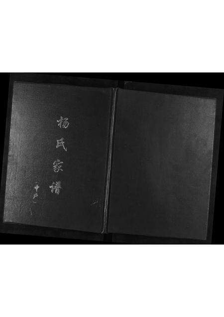 河南杨氏族谱-杨氏家谱[不分卷].pdf电子版缩略图