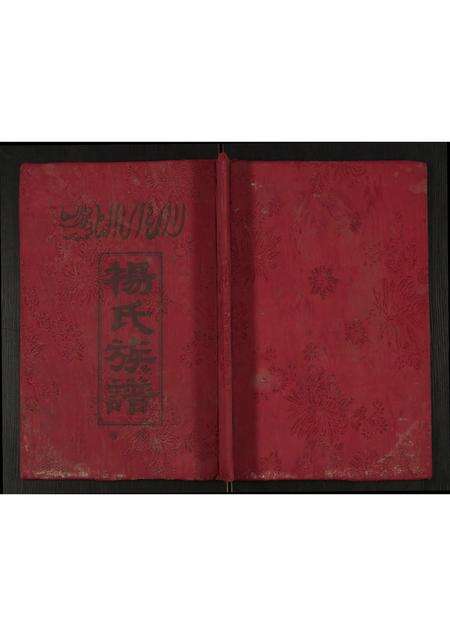 河南杨氏族谱-杨氏族谱.pdf电子版缩略图