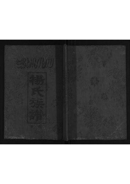 河南杨氏族谱-杨氏族谱.pdf电子版缩略图