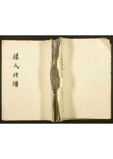 河南杨氏族谱-杨氏族谱.pdf电子版缩略图