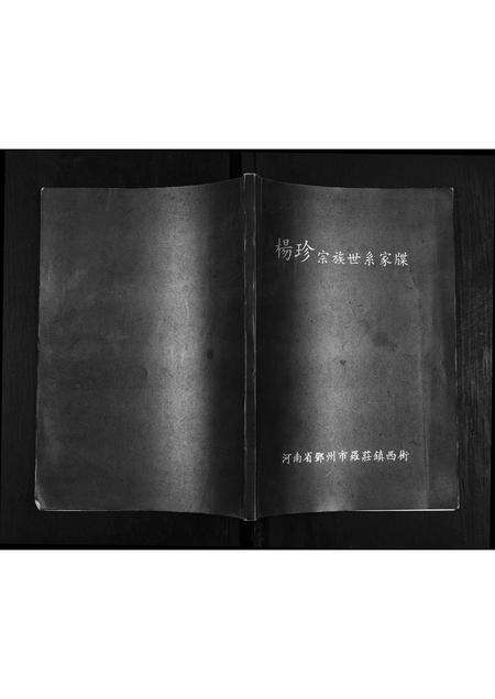 河南杨氏族谱-杨珍宗族世系家牒.pdf电子版缩略图