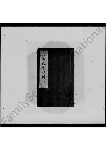 广东叶氏族谱-叶氏家族谱.pdf电子版缩略图