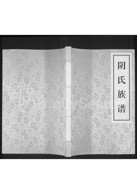 河南阴氏族谱-阴氏族谱.pdf电子版缩略图