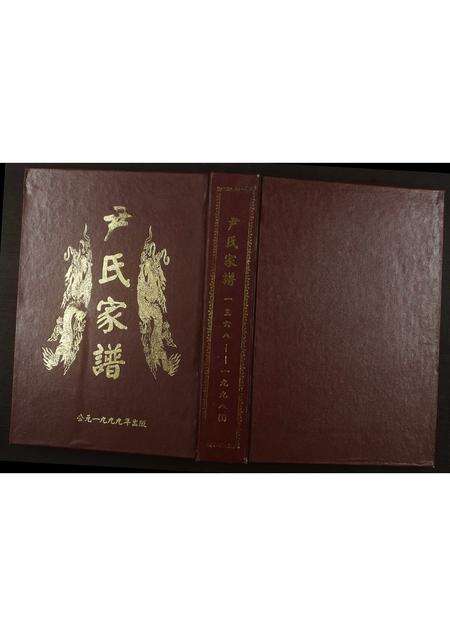 河南尹氏族谱-尹氏族谱.pdf电子版缩略图